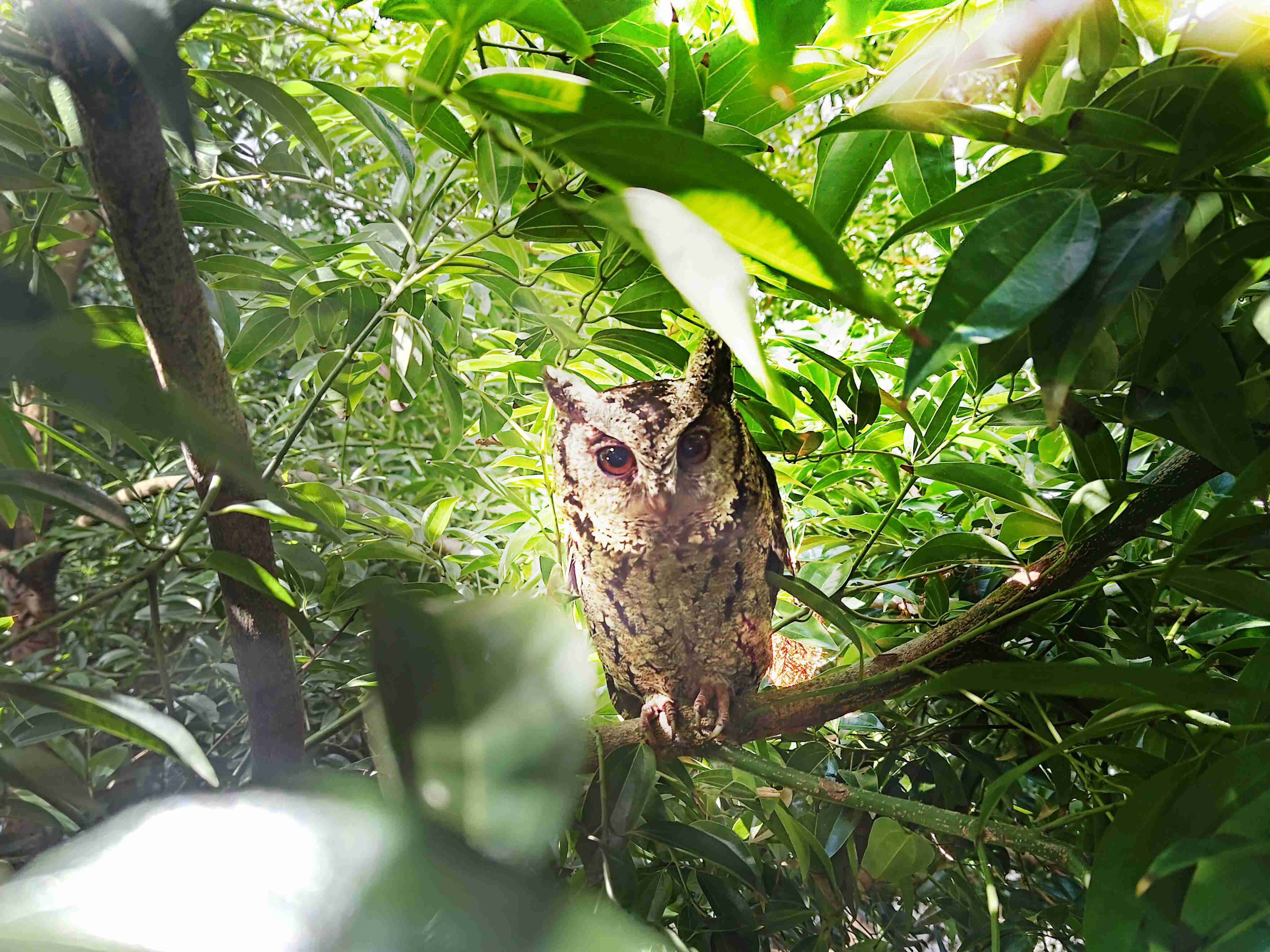 2121非凡致力提倡净零绿生活，，16年以来在全球各厂区植树逾百万棵，，，，造就各厂区树木蔚然成林，，犹如森林工厂，，，成为许多生物的栖息地